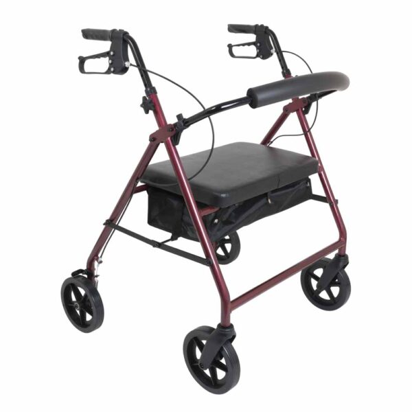 ProBasics-Bariatric-Rollator-with-8-inch-Wheels.jpg