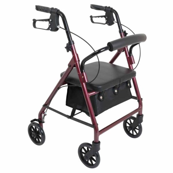 ProBasics-Junior-Rollator-with-6-inch-Wheels.jpg